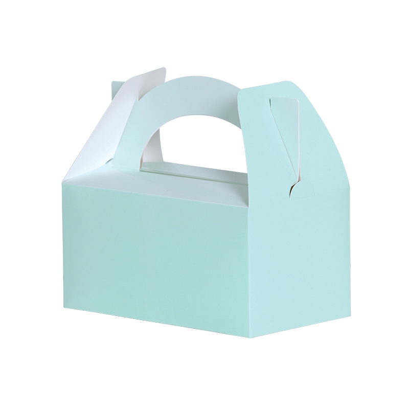 FS Lunch Box Mint Green 5pk