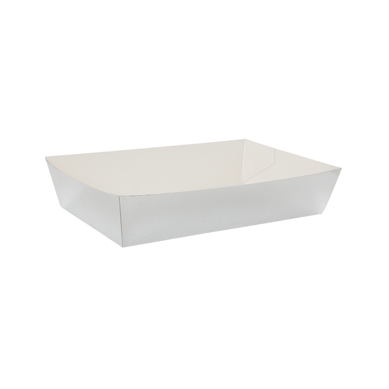 FS Lunch Tray Metallic Silver 10pk (D)