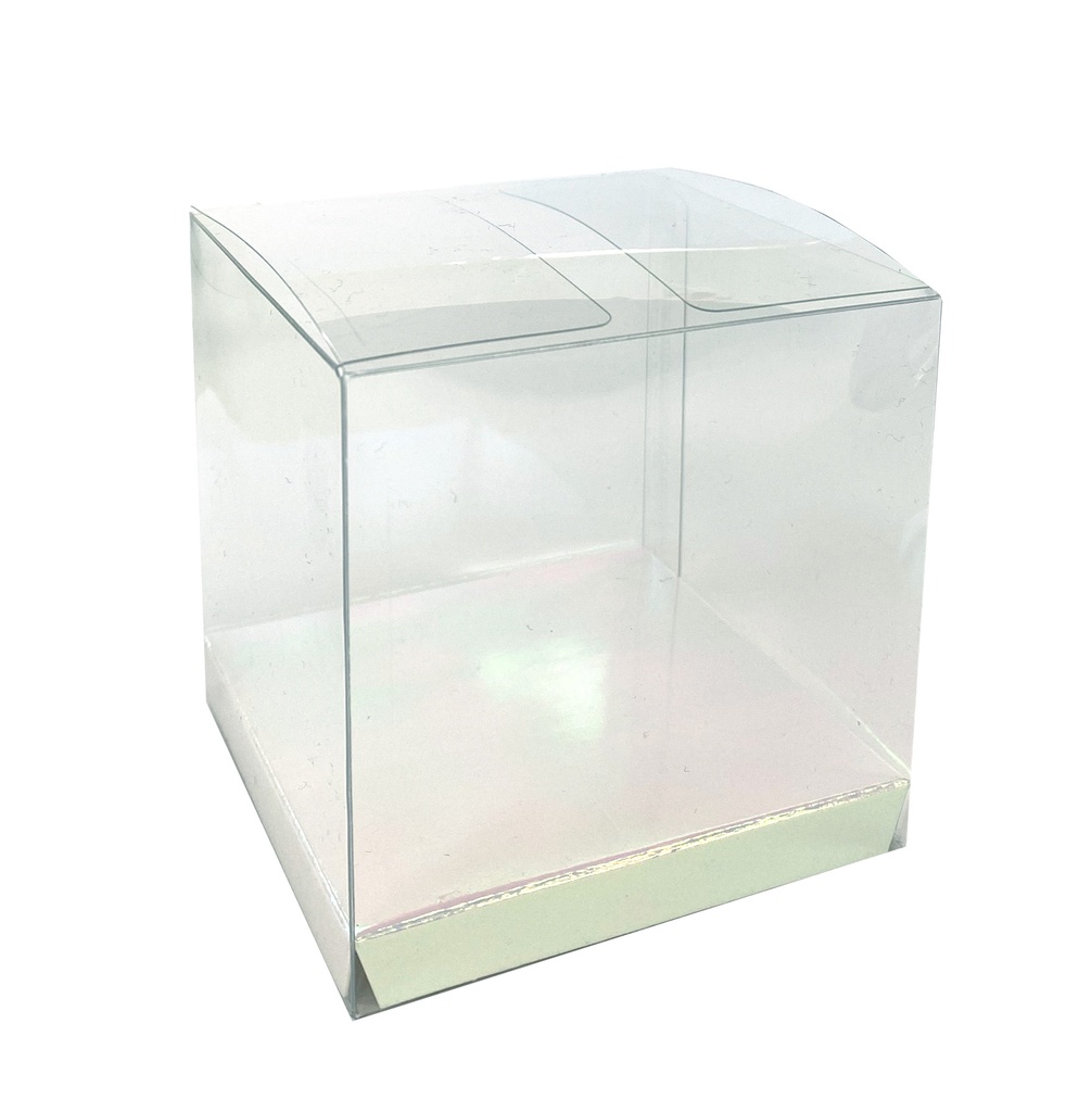 FS Clear Favour Box Iridescent 10pk