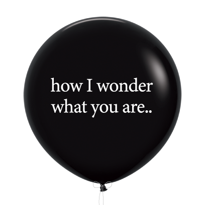PICK-A-BUNCH How I Wonder.. Gender Reveal 90cm Black 1pk