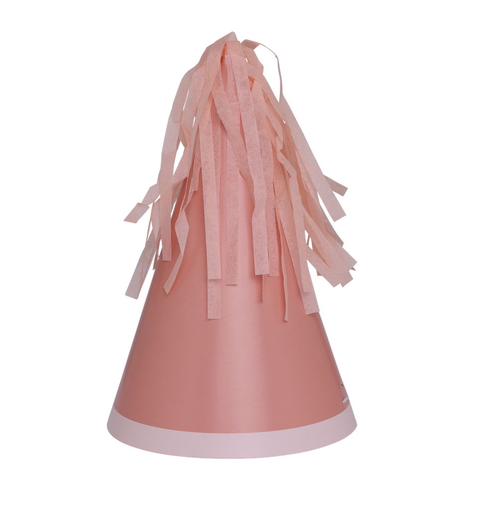 FS Party Hat with Tassel Topper Rose 10pk