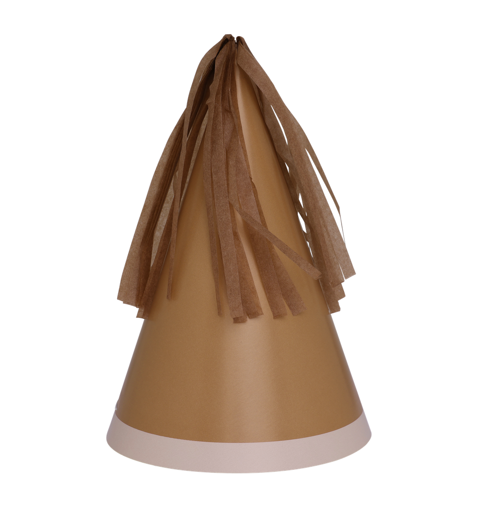 FS Party Hat with Tassel Topper Acorn 10pk