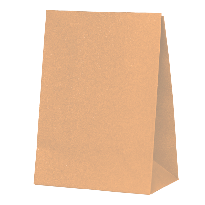 FS Paper Party Bag Peach 10pk