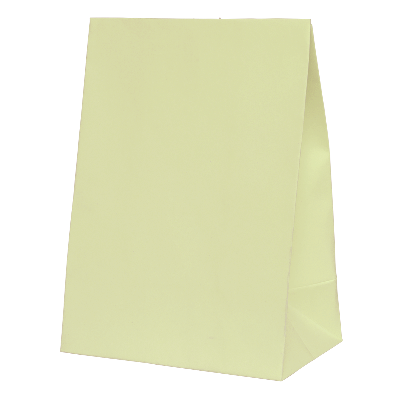 FS Paper Party Bag Pastel Yellow 10pk