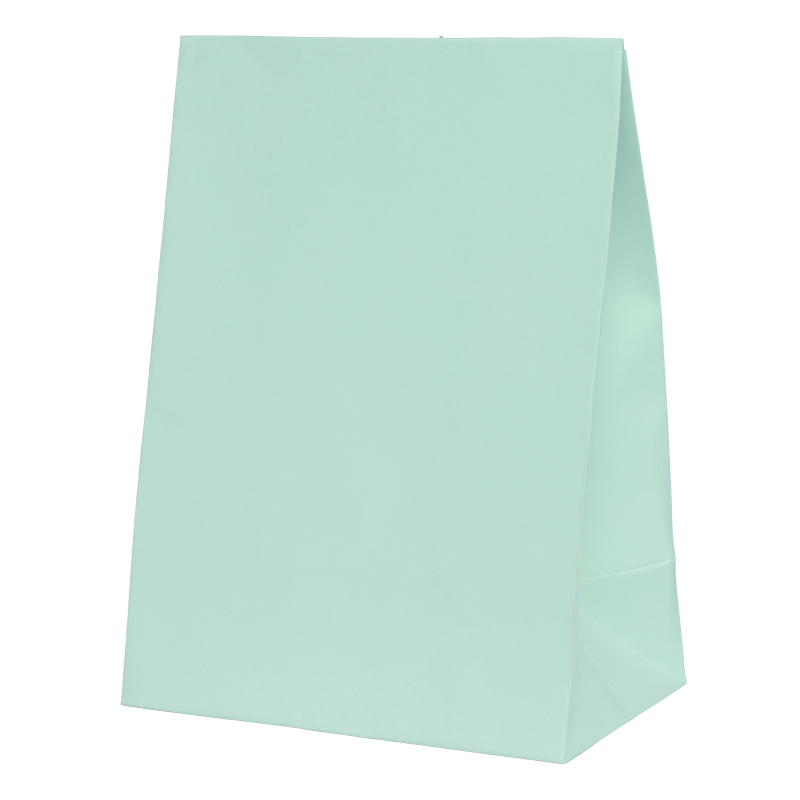 FS Paper Party Bag Mint Green 10pk