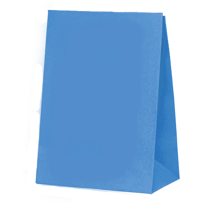 FS Paper Party Bag Sky Blue 10pk