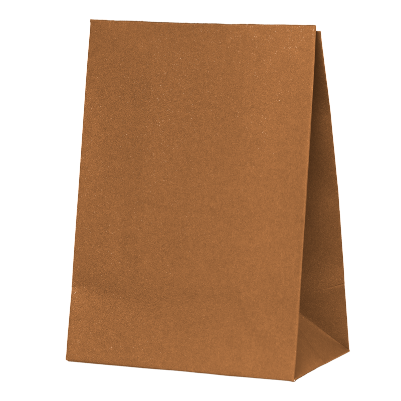 FS Paper Party Bag Acorn 10pk