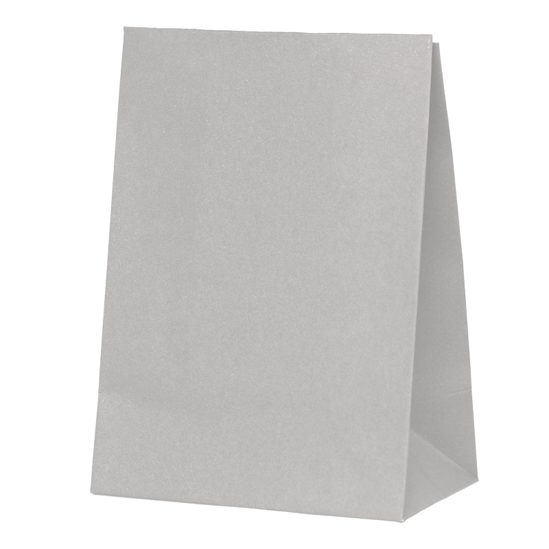 FS Paper Party Bag Cool Grey 10pk