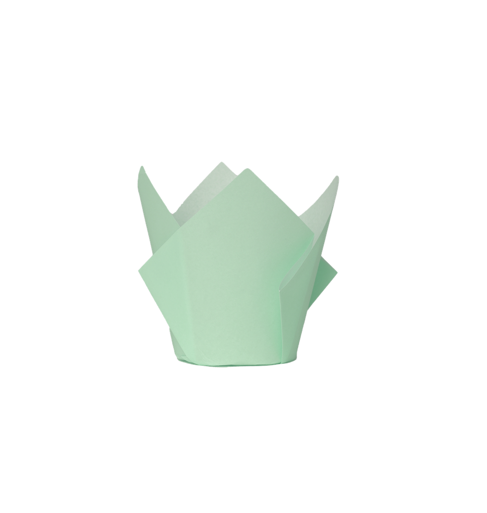 FS Tulip Cupcake Case Mint Green 20pk