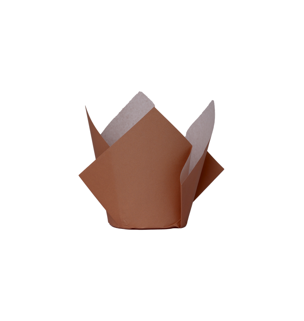 FS Tulip Cupcake Case Acorn 20pk