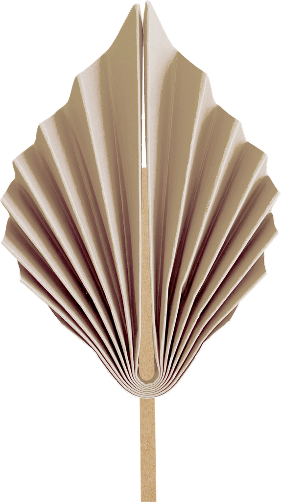 FS Paper Palm Leaf 15cm White Sand 2pk