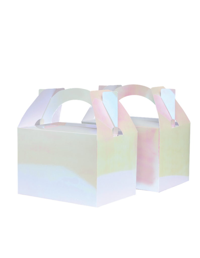FS Little Lunch Box Iridescent 10pk