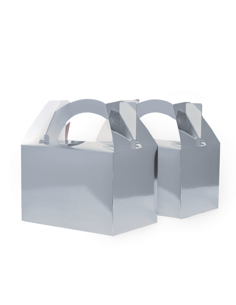 FS Little Lunch Box Met Silver 10pk