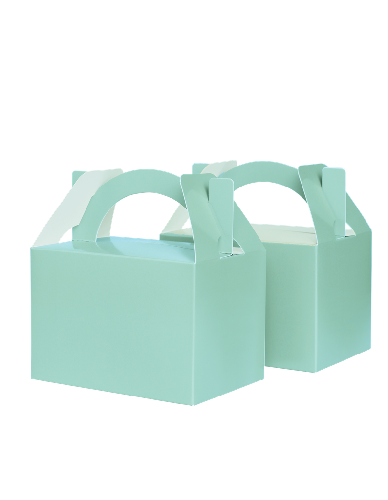 FS Little Lunch Box Mint Green 10pk