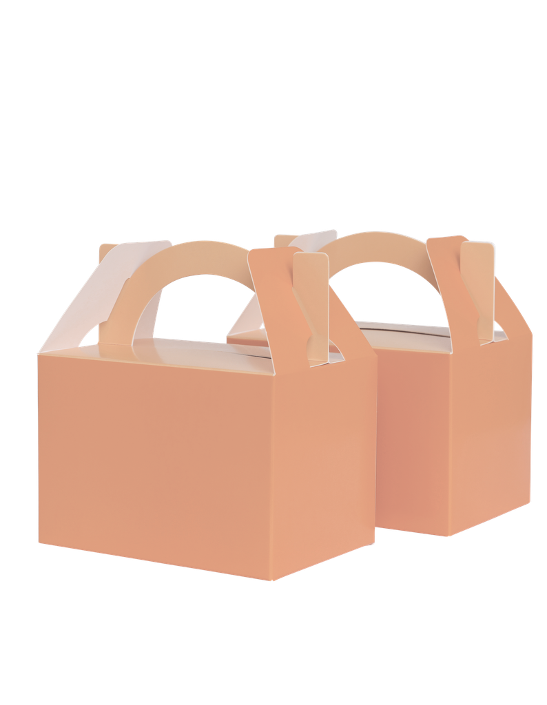 FS Little Lunch Box Peach 10pk