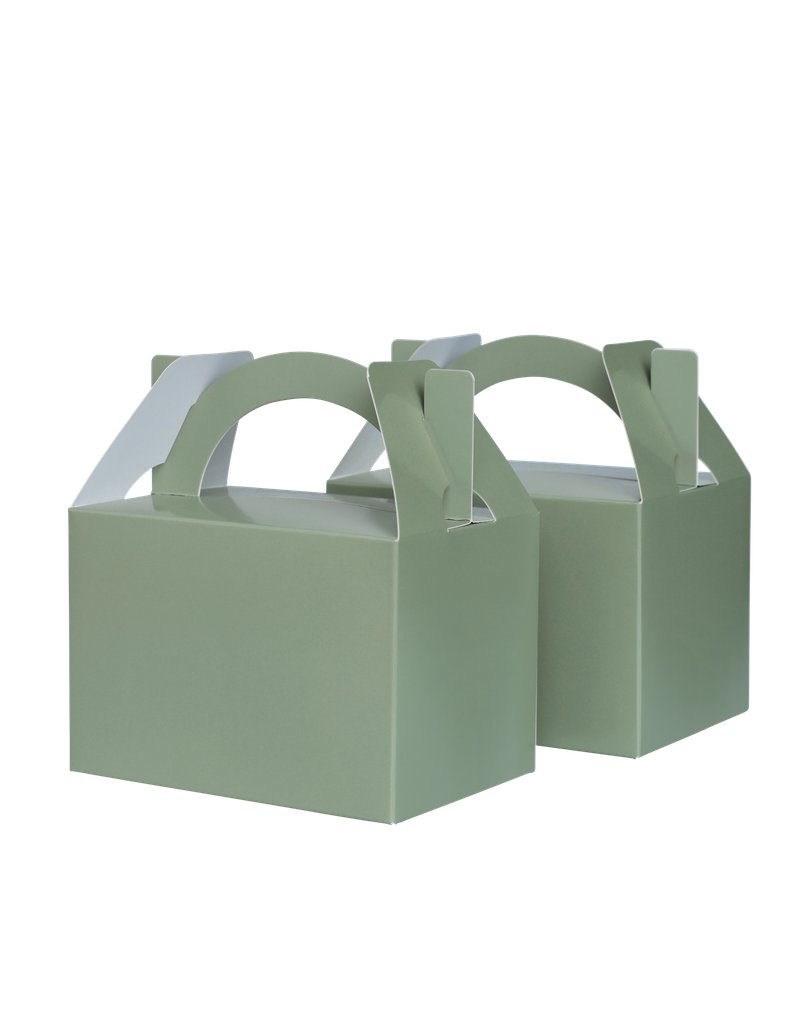 FS Little Lunch Box Eucalyptus 10pk