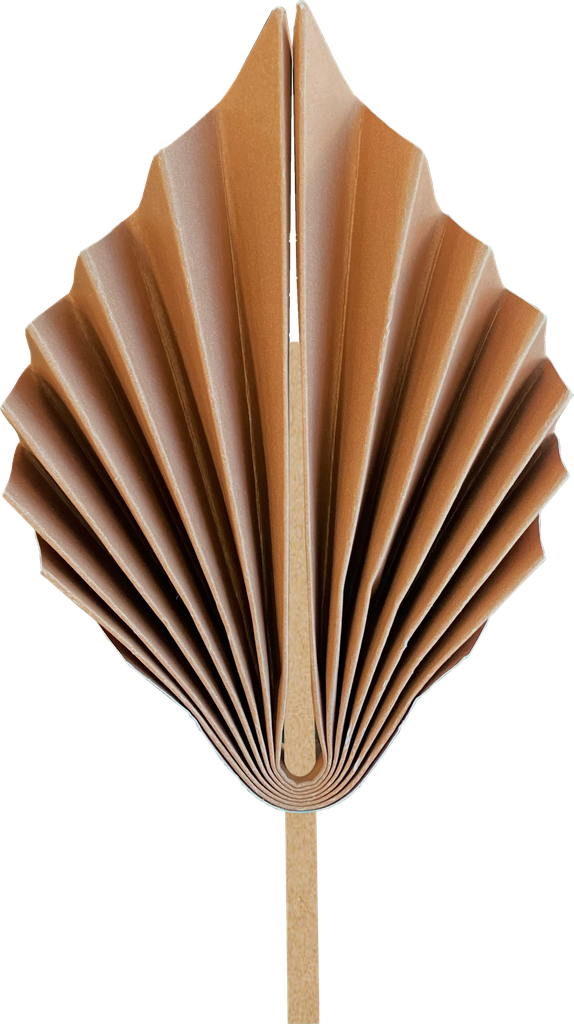 FS Paper Palm Leaf 15cm Acorn 2pk