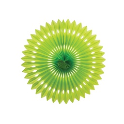 [5216LG] FS  Hanging Fan Lime Green 40cm 1 pk (D)