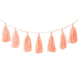 [5203PHP] FS Tassel Garland Peach 3m 12pk