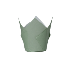 [6255EUP] FS Tulip Cupcake Case Eucalyptus 20pk