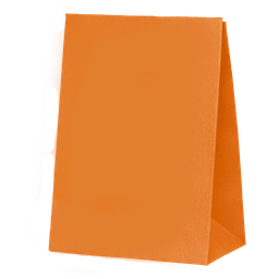 [6300TGP] FS Paper Party Bag Tangerine 10pk