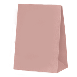 [6300ROP] FS Paper Party Bag Rose 10pk