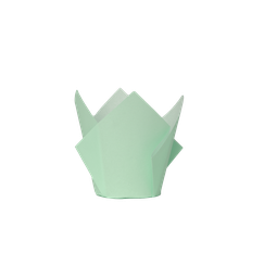 [6255MTP] FS Tulip Cupcake Case Mint Green 20pk
