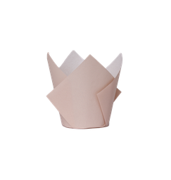 [6255WSP] FS Tulip Cupcake Case White Sand 20pk